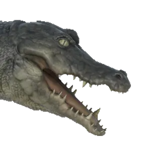 Croco