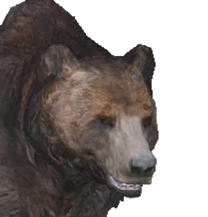 Grizzly