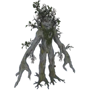Oak Tree