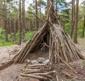 Shelter Build